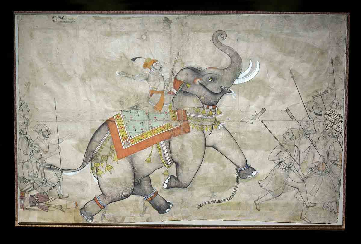 ACSAA Digital Images (Museums)