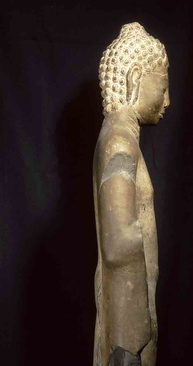 ACSAA Digital Images (Museums)