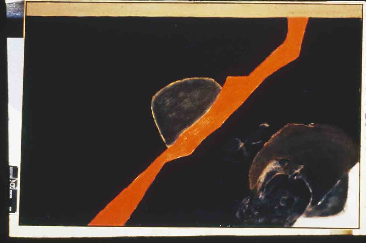 ACSAA Digital Images (Museums)