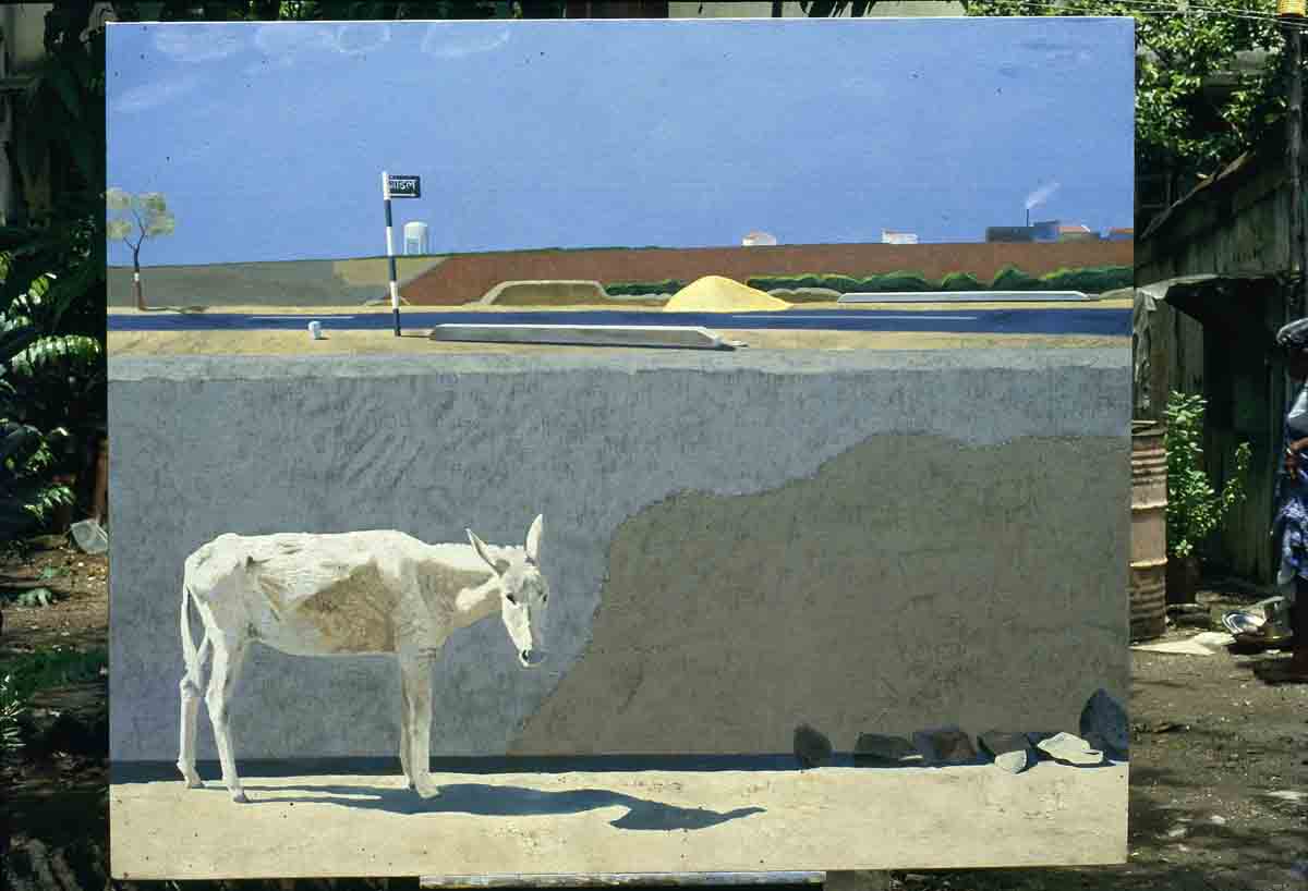 ACSAA Digital Images (Museums)