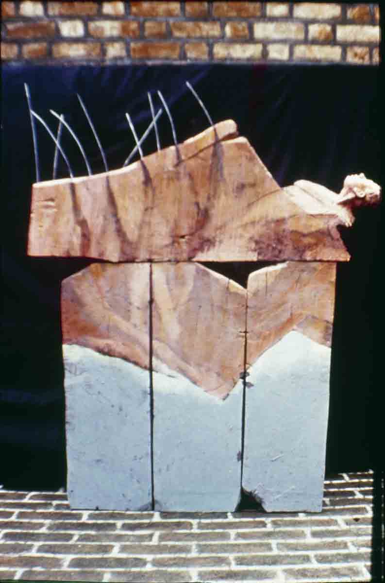 ACSAA Digital Images (Museums)