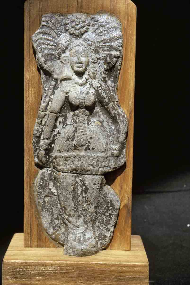 ACSAA Digital Images (Museums)