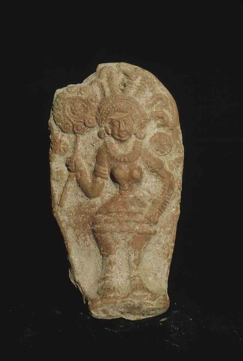 ACSAA Digital Images (Museums)