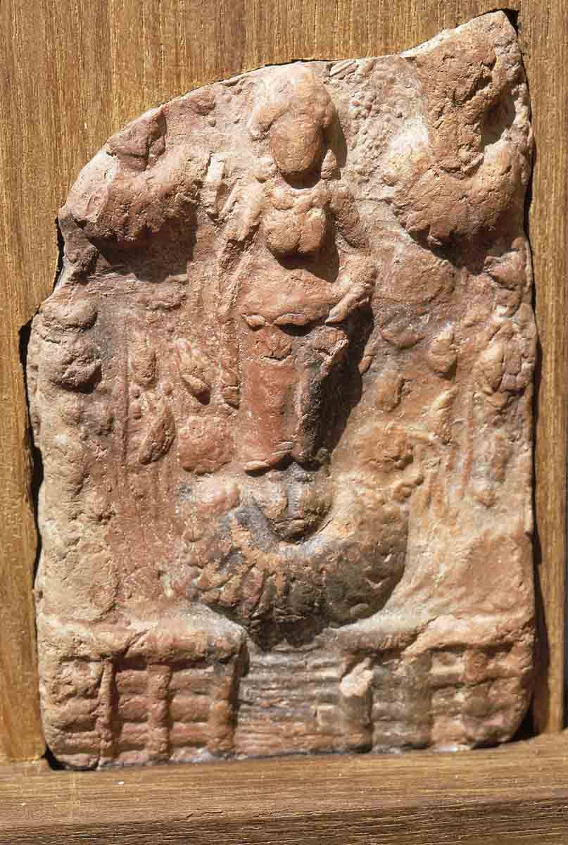 ACSAA Digital Images (Museums)