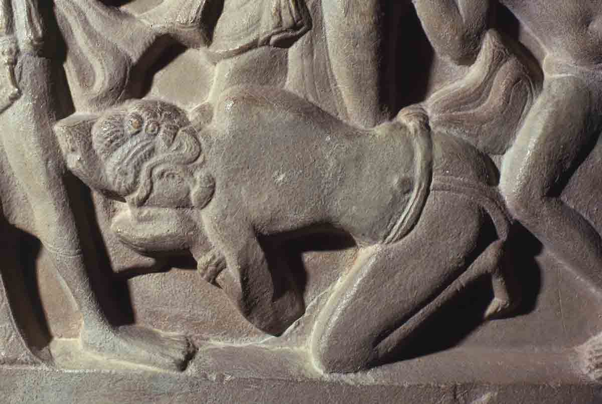 ACSAA Digital Images (Museums)