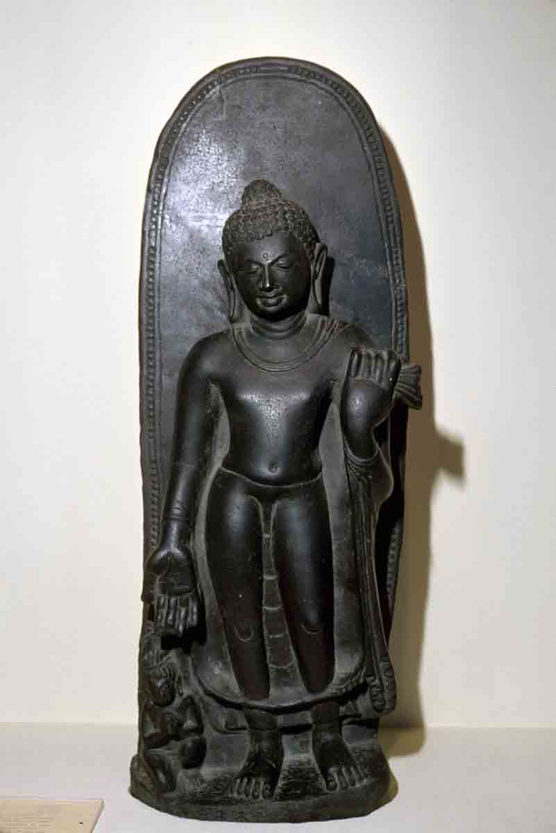 ACSAA Digital Images (Museums)