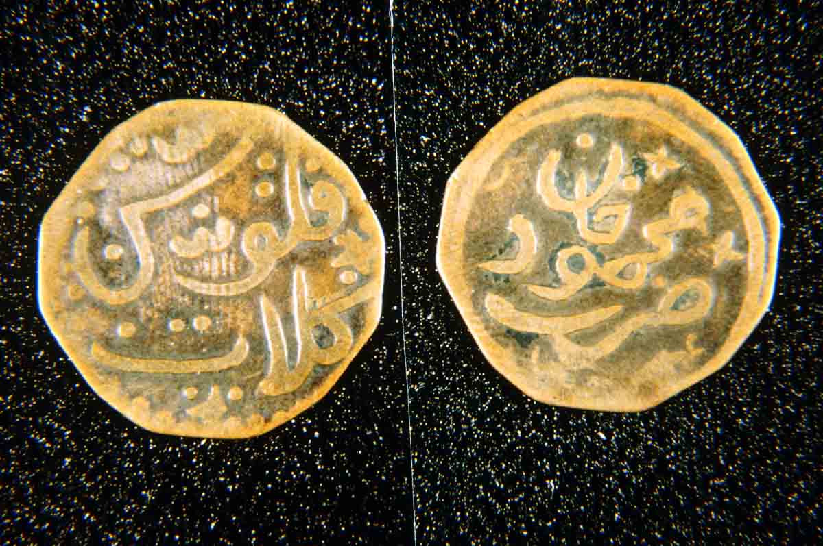 ACSAA Digital Images (Museums)