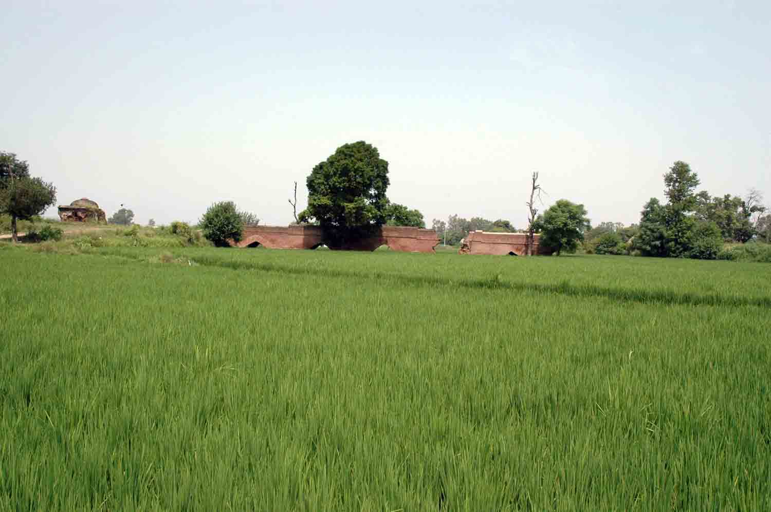 Bridge, Mahlian Kalan, Punjab