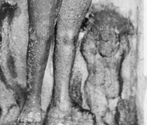 Amaresvara temple, Kuhur, Thanjavur, Tamil Nadu