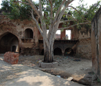 Tope Dwar, Farrukhnagar, Gurgaon, Haryana