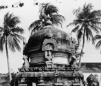 Colisvara temple, Kilaiyur, Tamil Nadu