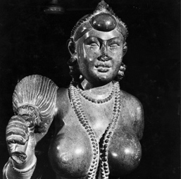 Patna Museum, Patna, Bihar
