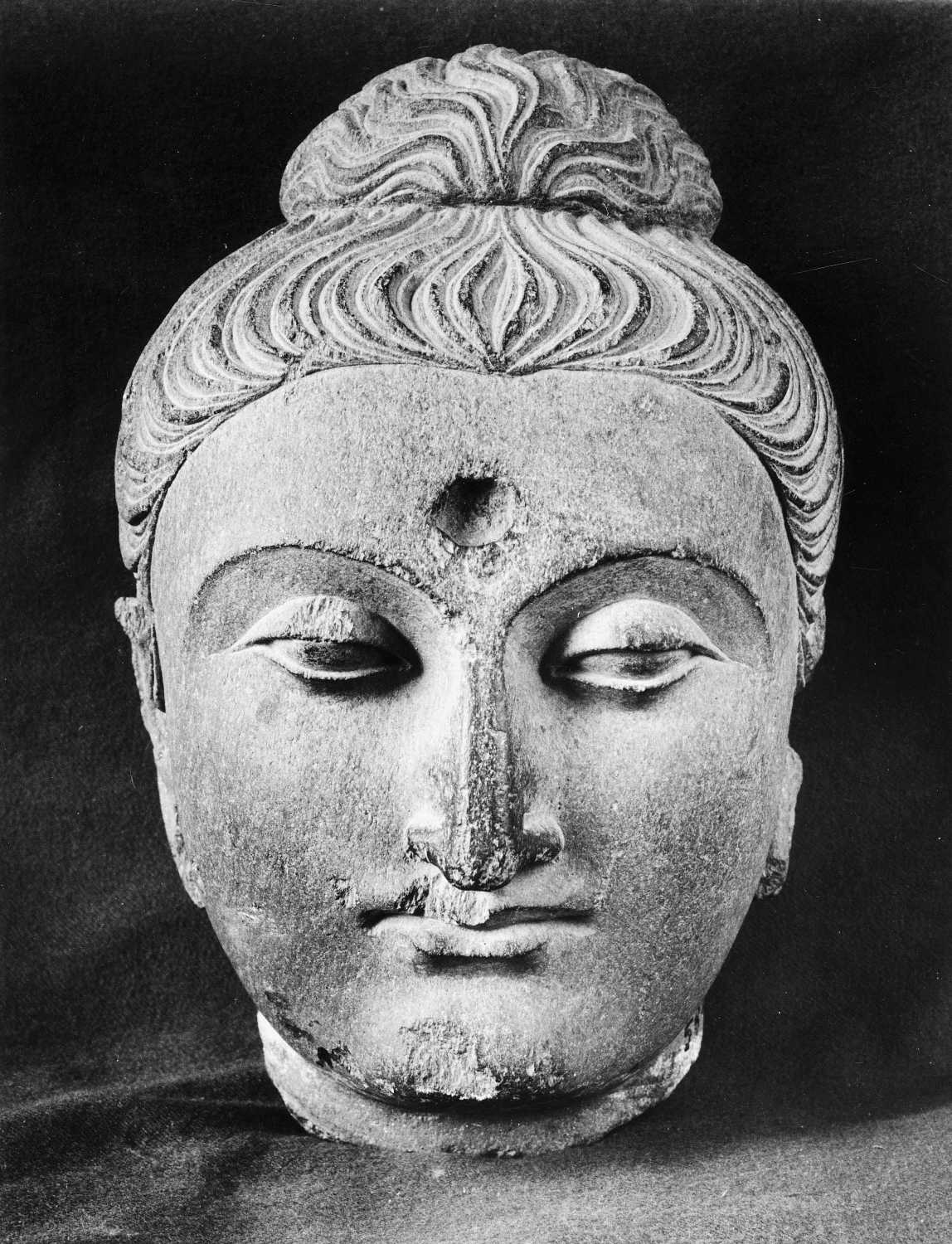 Patna Museum, Patna, Bihar