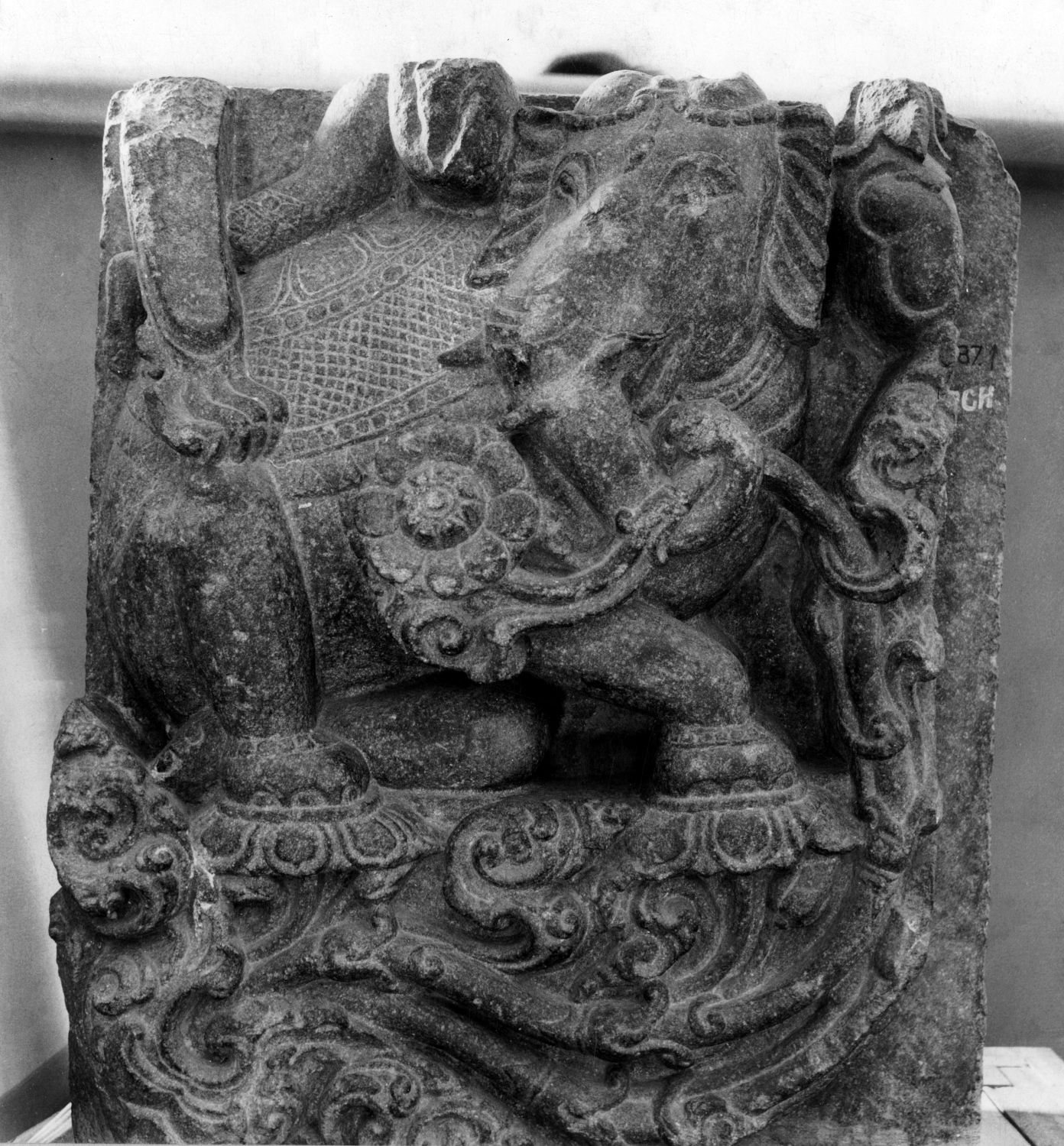 Patna Museum, Patna, Bihar