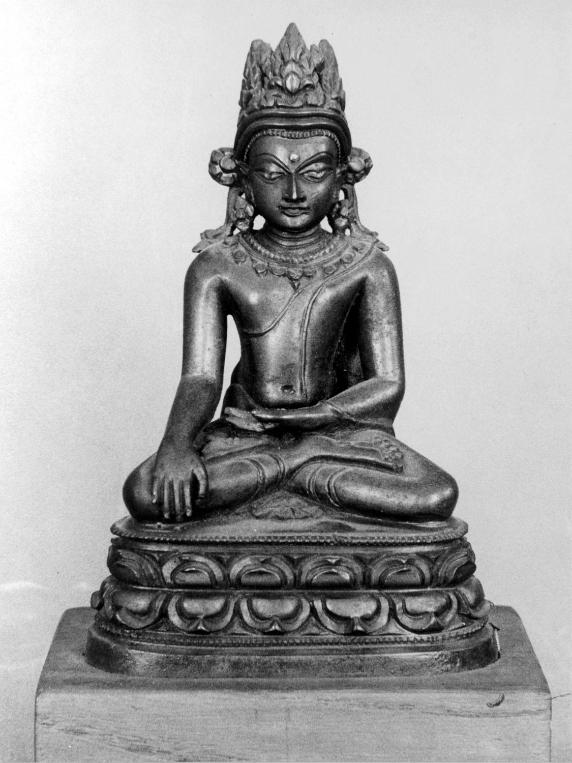 Patna Museum, Patna, Bihar