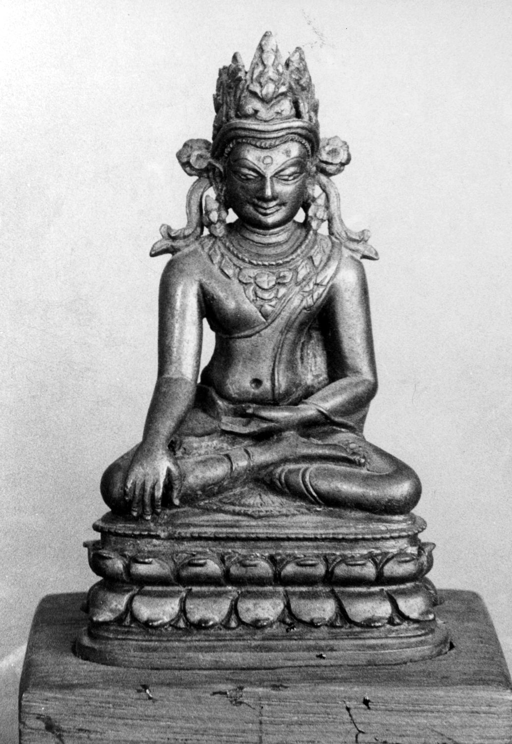 Patna Museum, Patna, Bihar