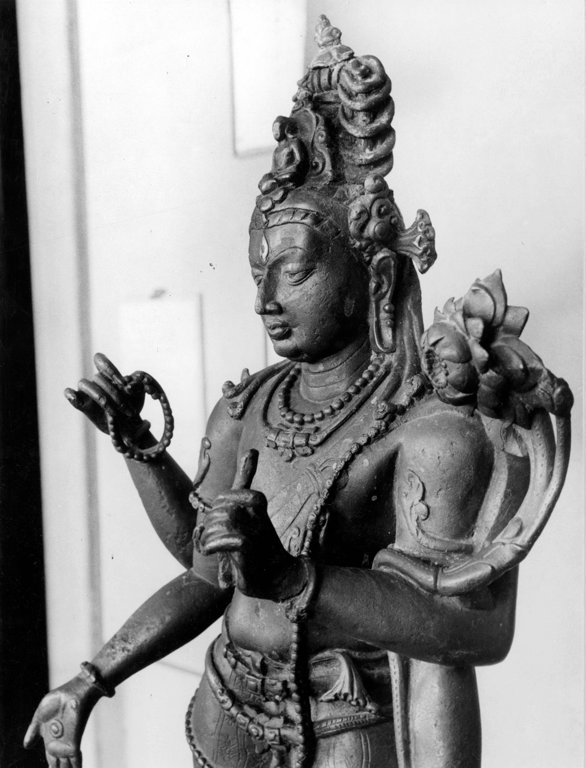Patna Museum, Patna, Bihar