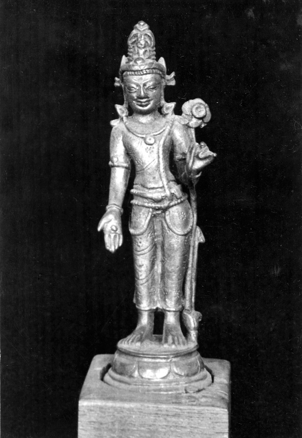 Patna Museum, Patna, Bihar