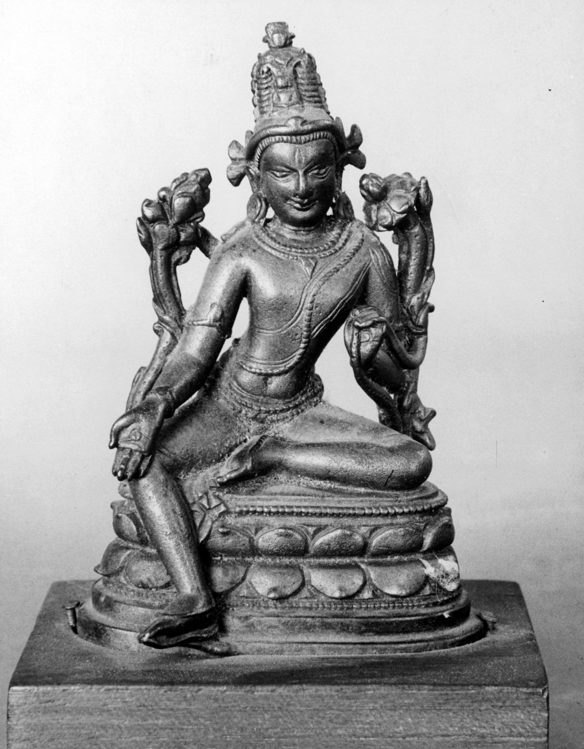 Patna Museum, Patna, Bihar