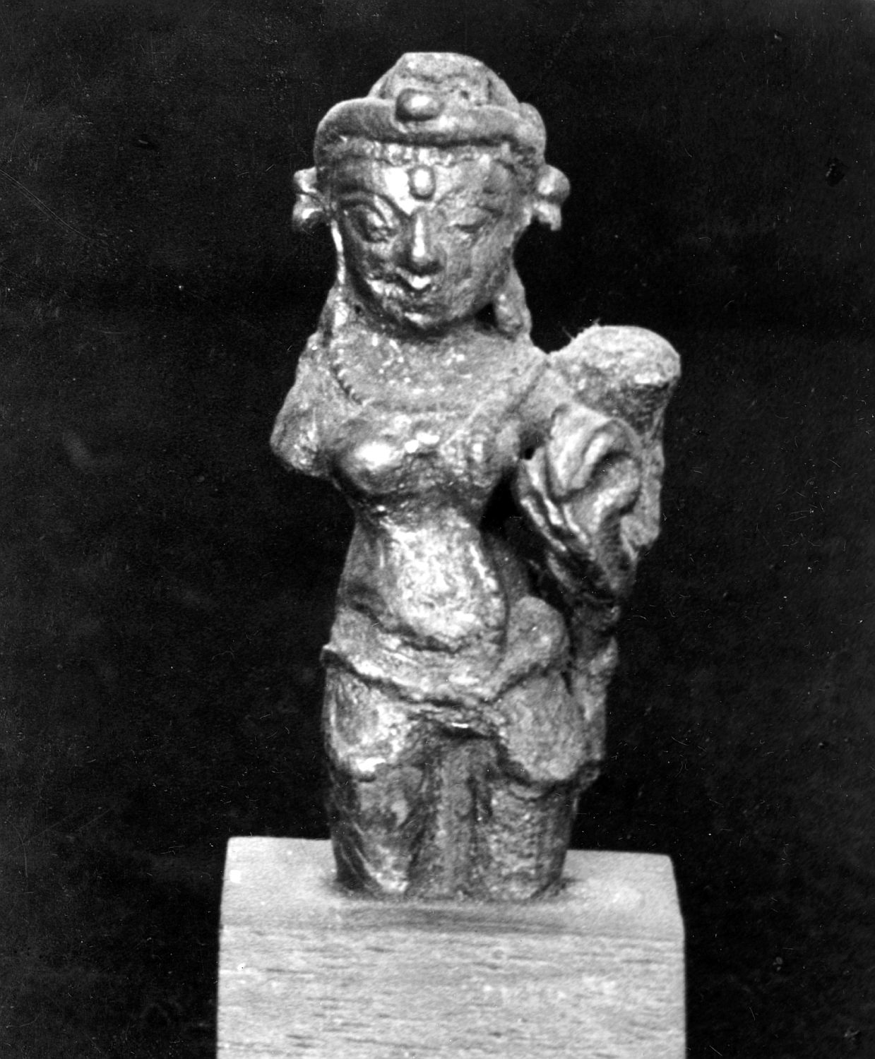 Patna Museum, Patna, Bihar