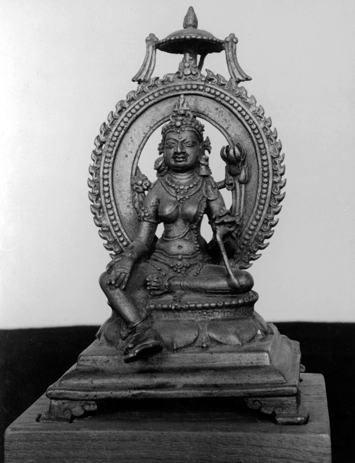 Patna Museum, Patna, Bihar
