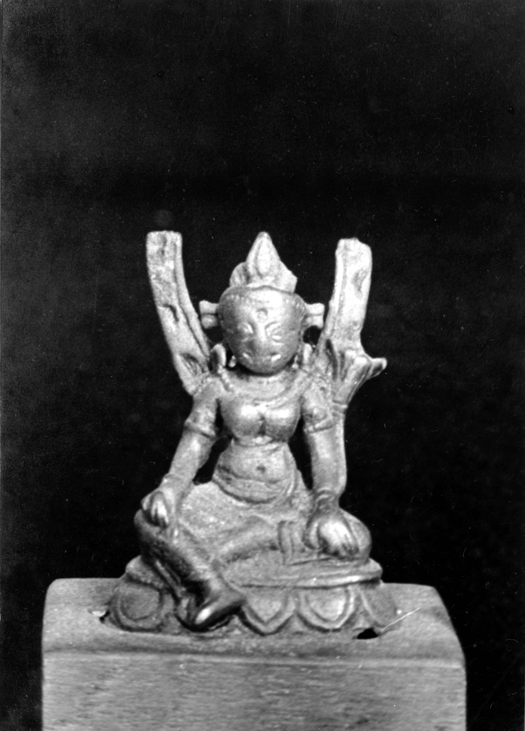 Patna Museum, Patna, Bihar