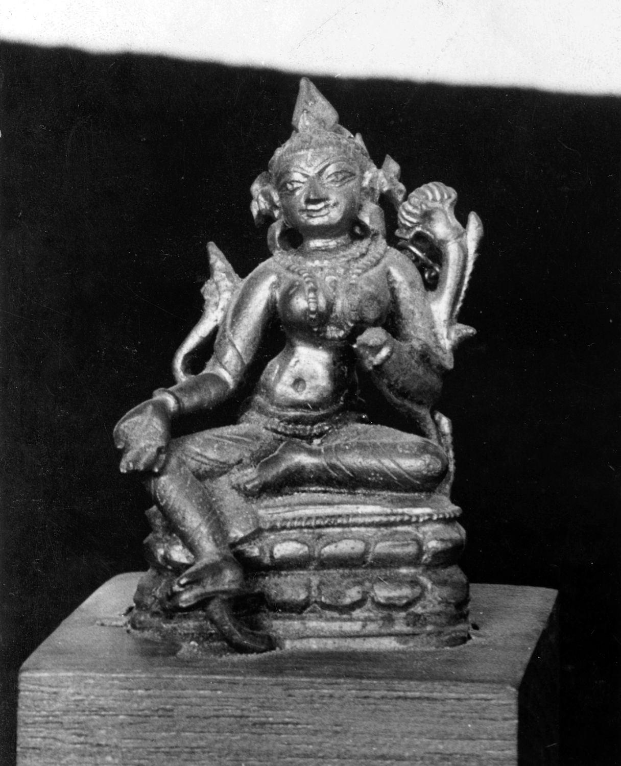 Patna Museum, Patna, Bihar