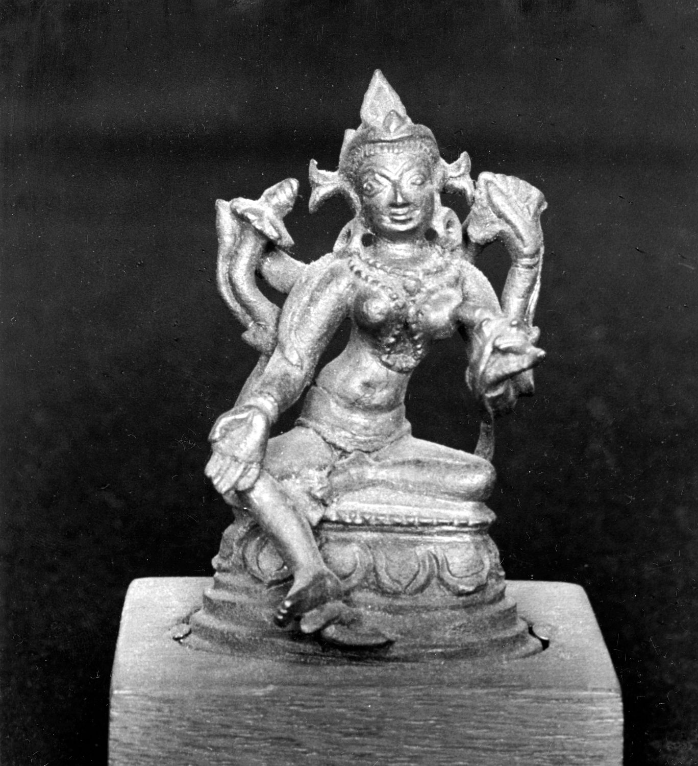 Patna Museum, Patna, Bihar