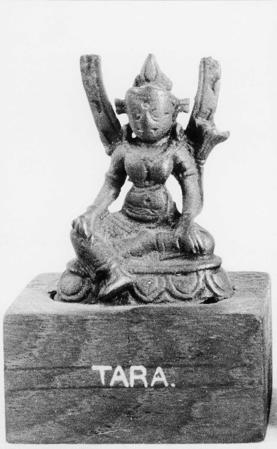 Patna Museum, Patna, Bihar