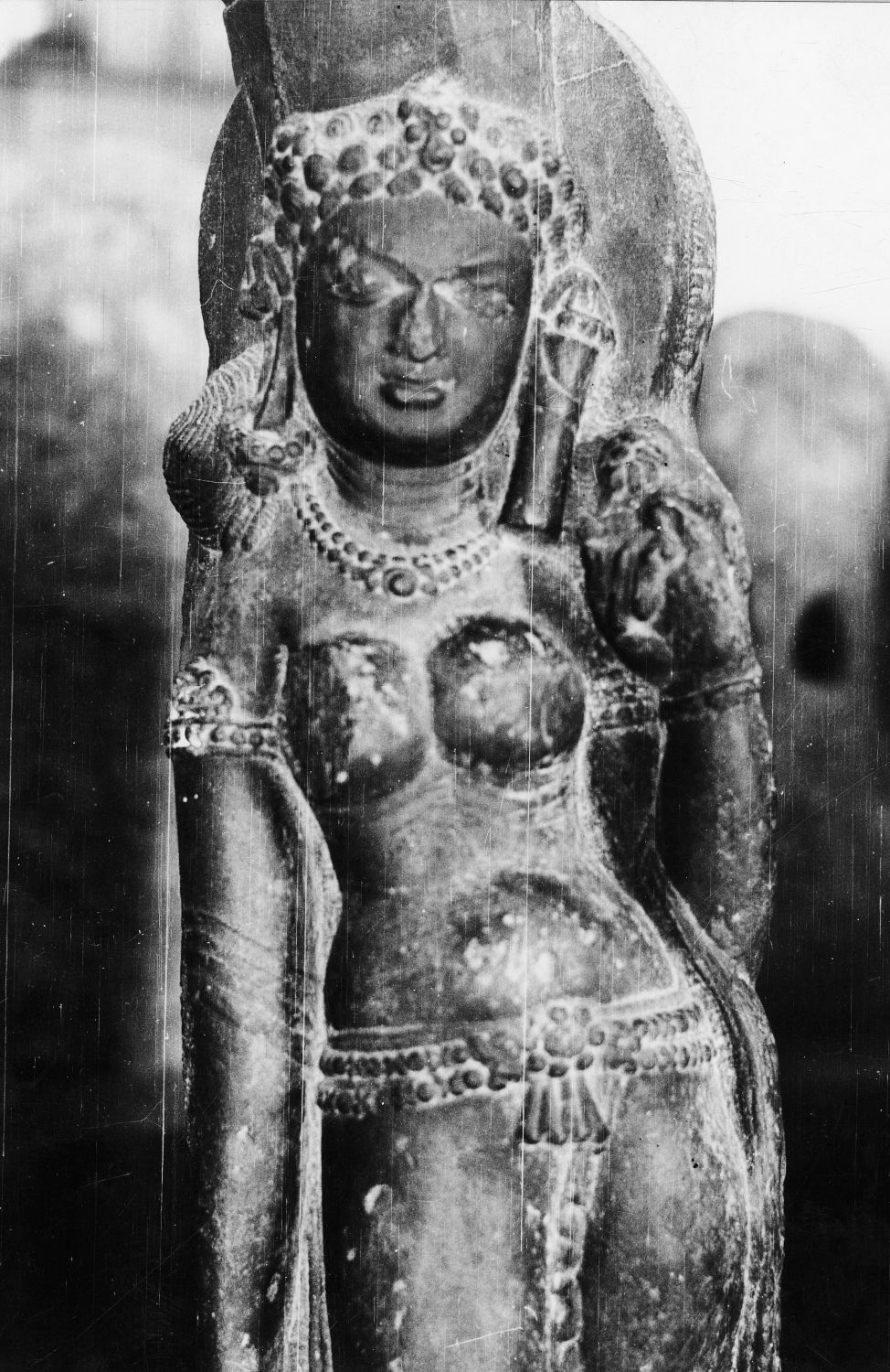 Patna Museum, Patna, Bihar