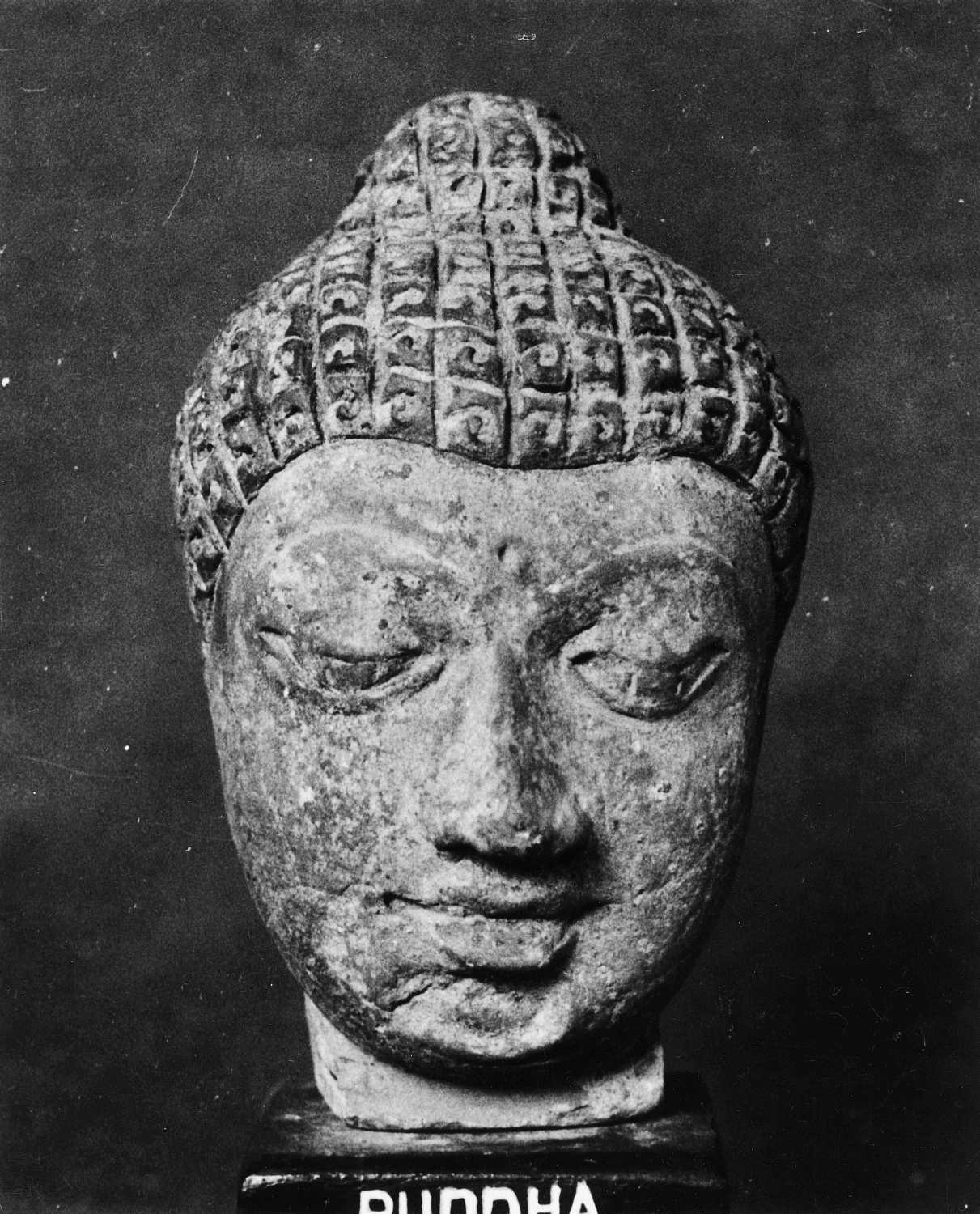Patna Museum, Patna, Bihar