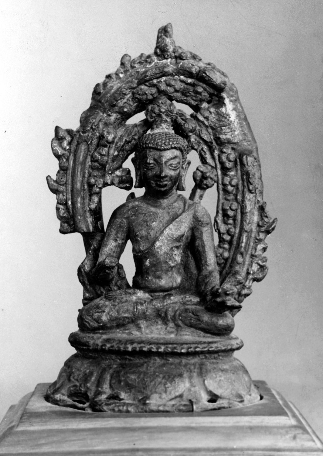 Patna Museum, Patna, Bihar