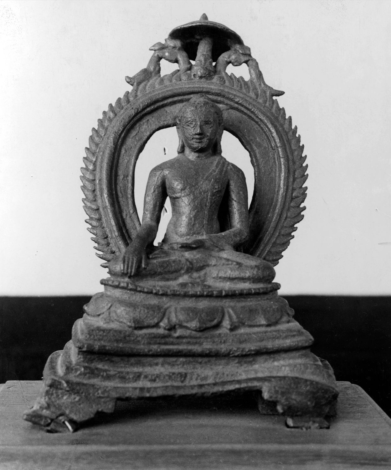 Patna Museum, Patna, Bihar