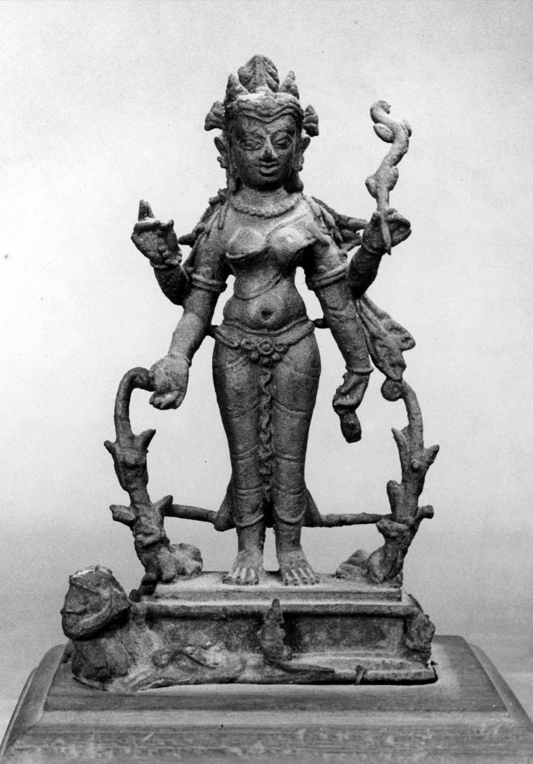 Patna Museum, Patna, Bihar