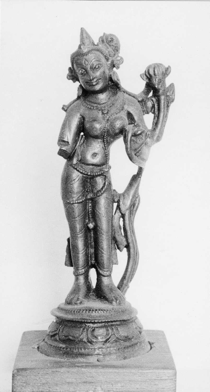 Patna Museum, Patna, Bihar