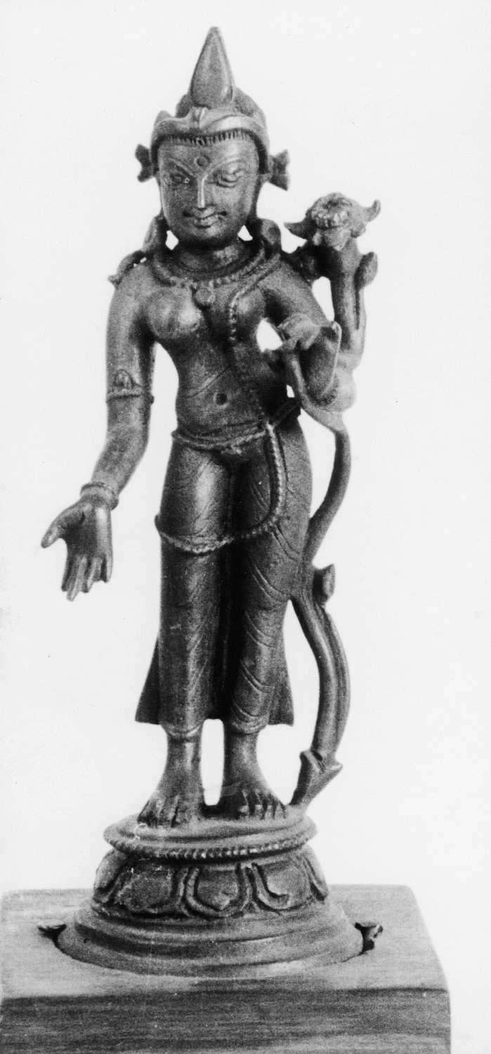Patna Museum, Patna, Bihar