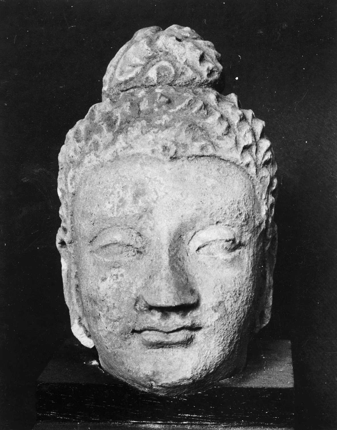 Patna Museum, Patna, Bihar