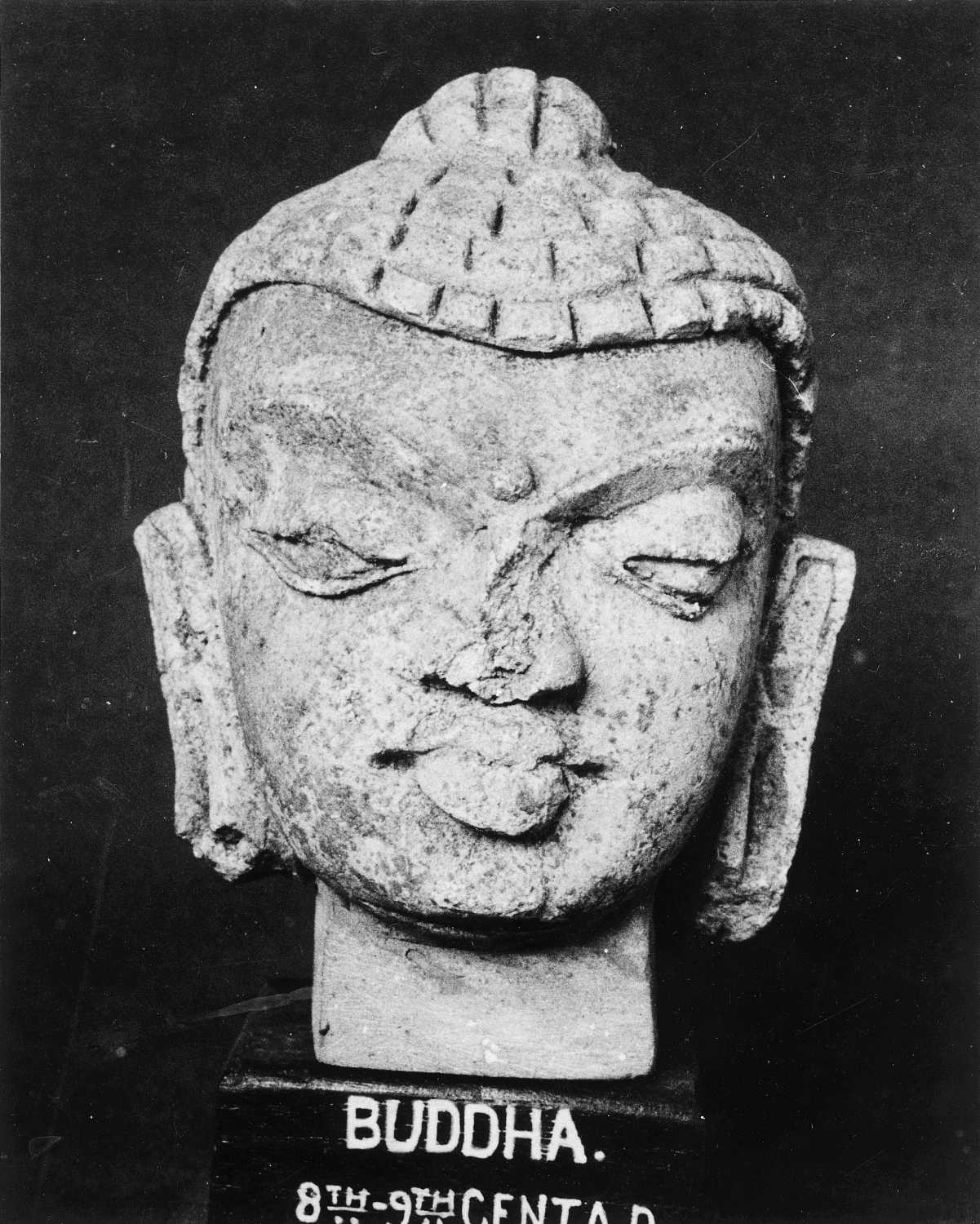 Patna Museum, Patna, Bihar