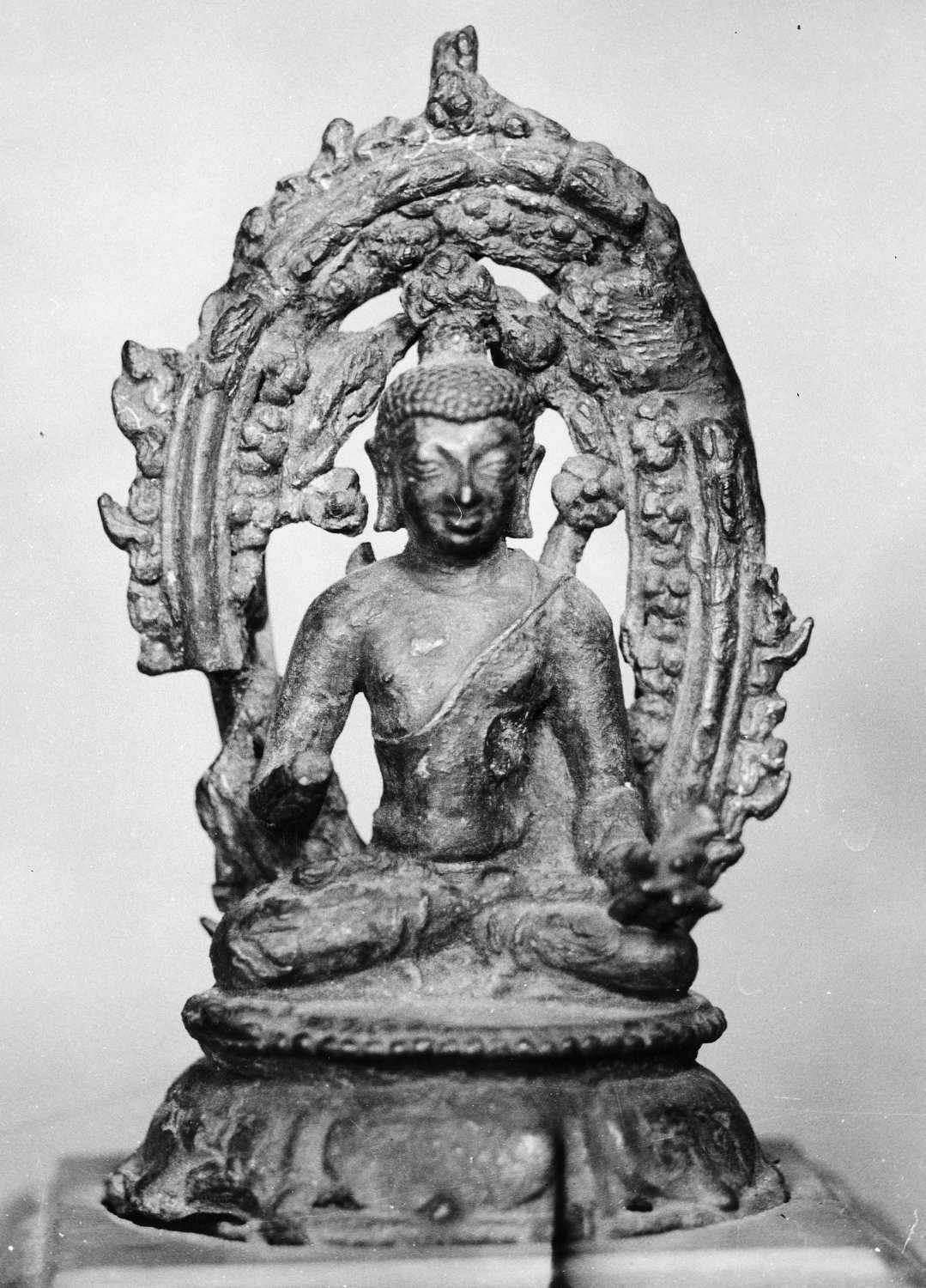 Patna Museum, Patna, Bihar