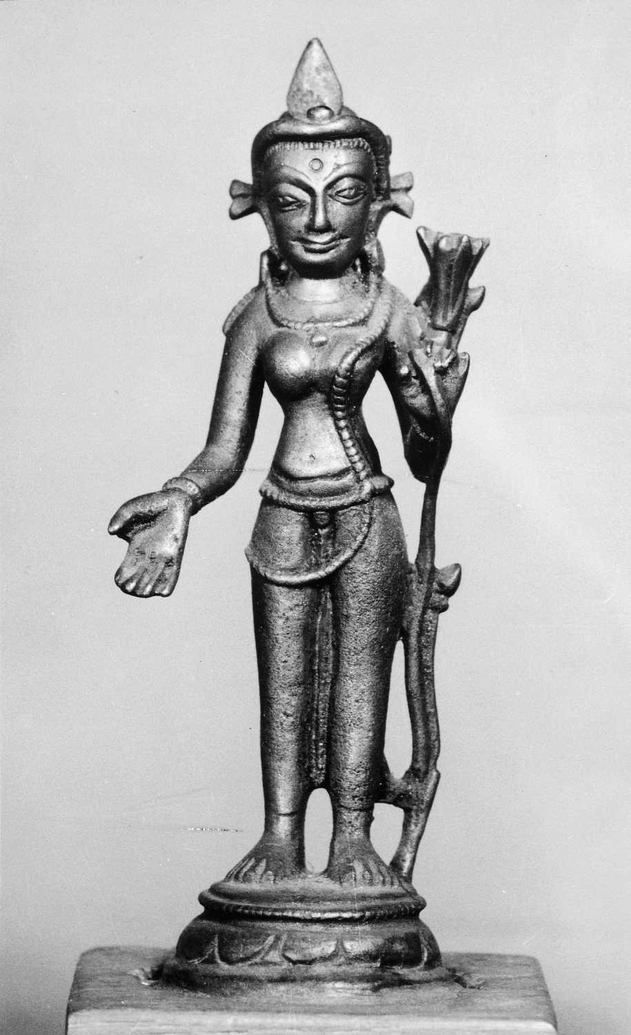 Patna Museum, Patna, Bihar