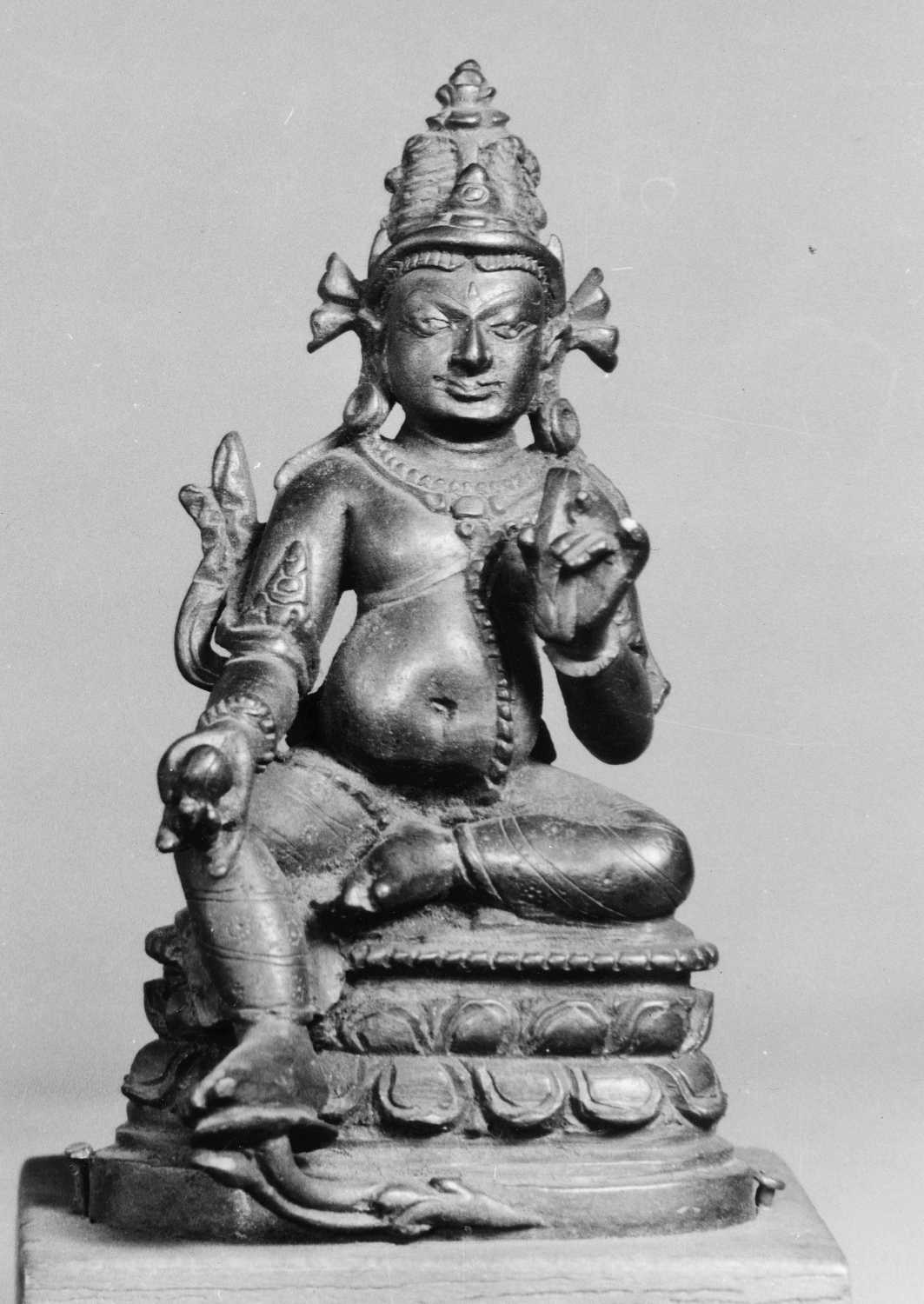 Patna Museum, Patna, Bihar