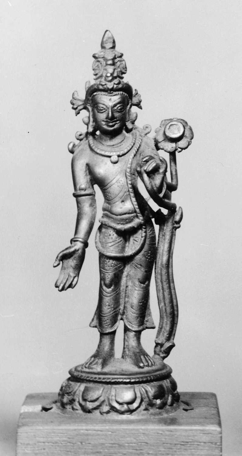 Patna Museum, Patna, Bihar