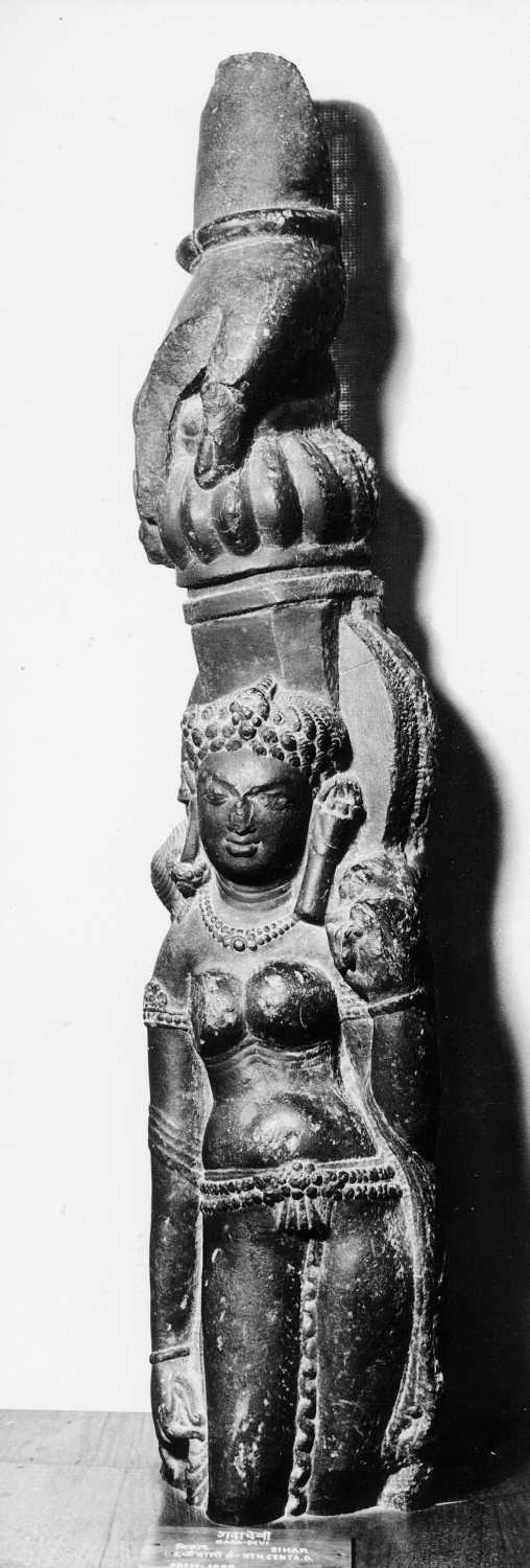 Patna Museum, Patna, Bihar