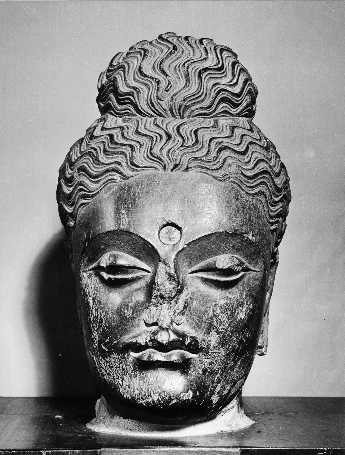 Patna Museum, Patna, Bihar