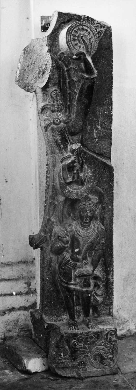 Patna Museum, Patna, Bihar