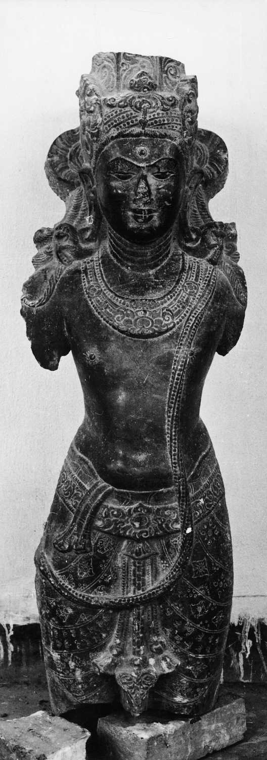 Patna Museum, Patna, Bihar