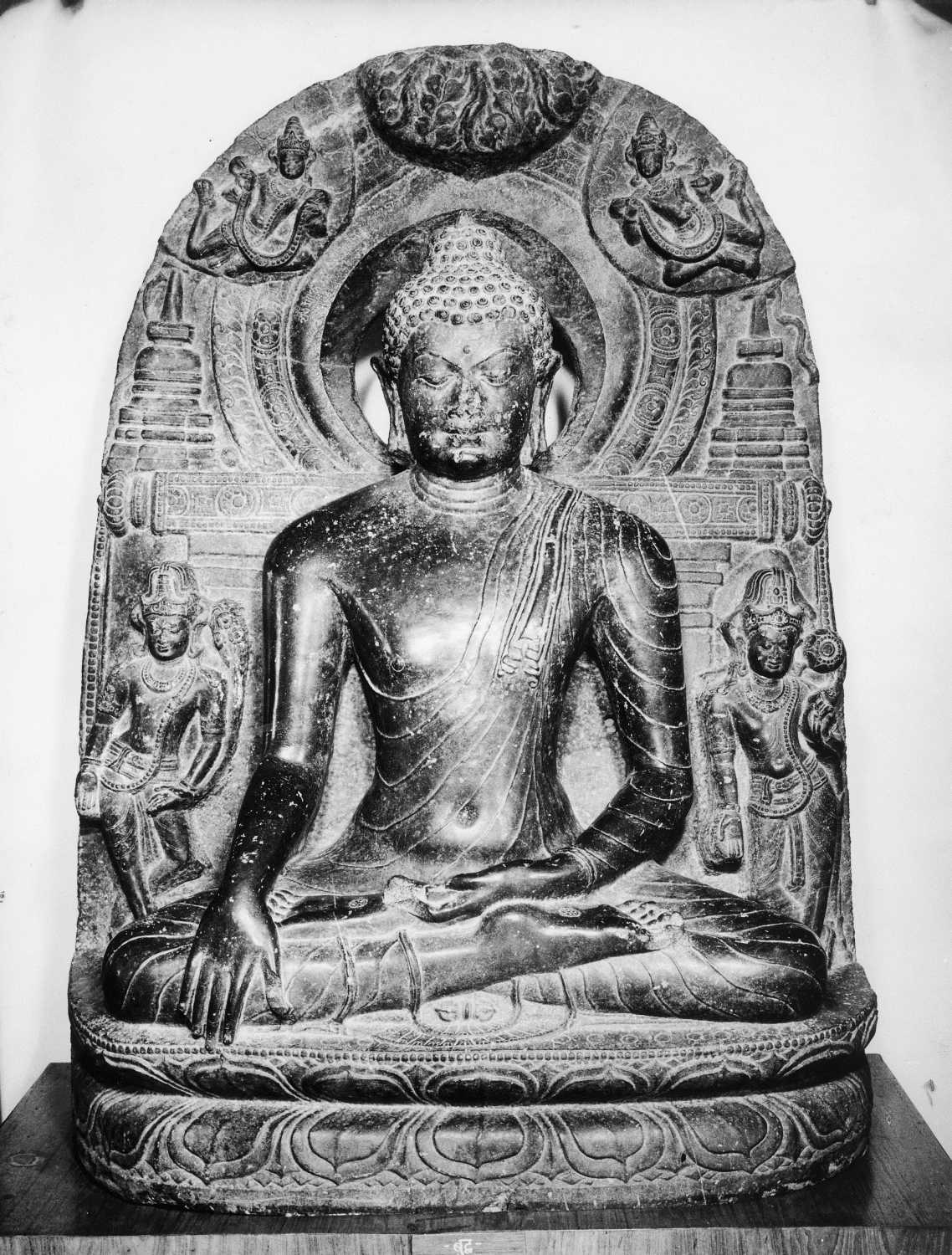 Patna Museum, Patna, Bihar