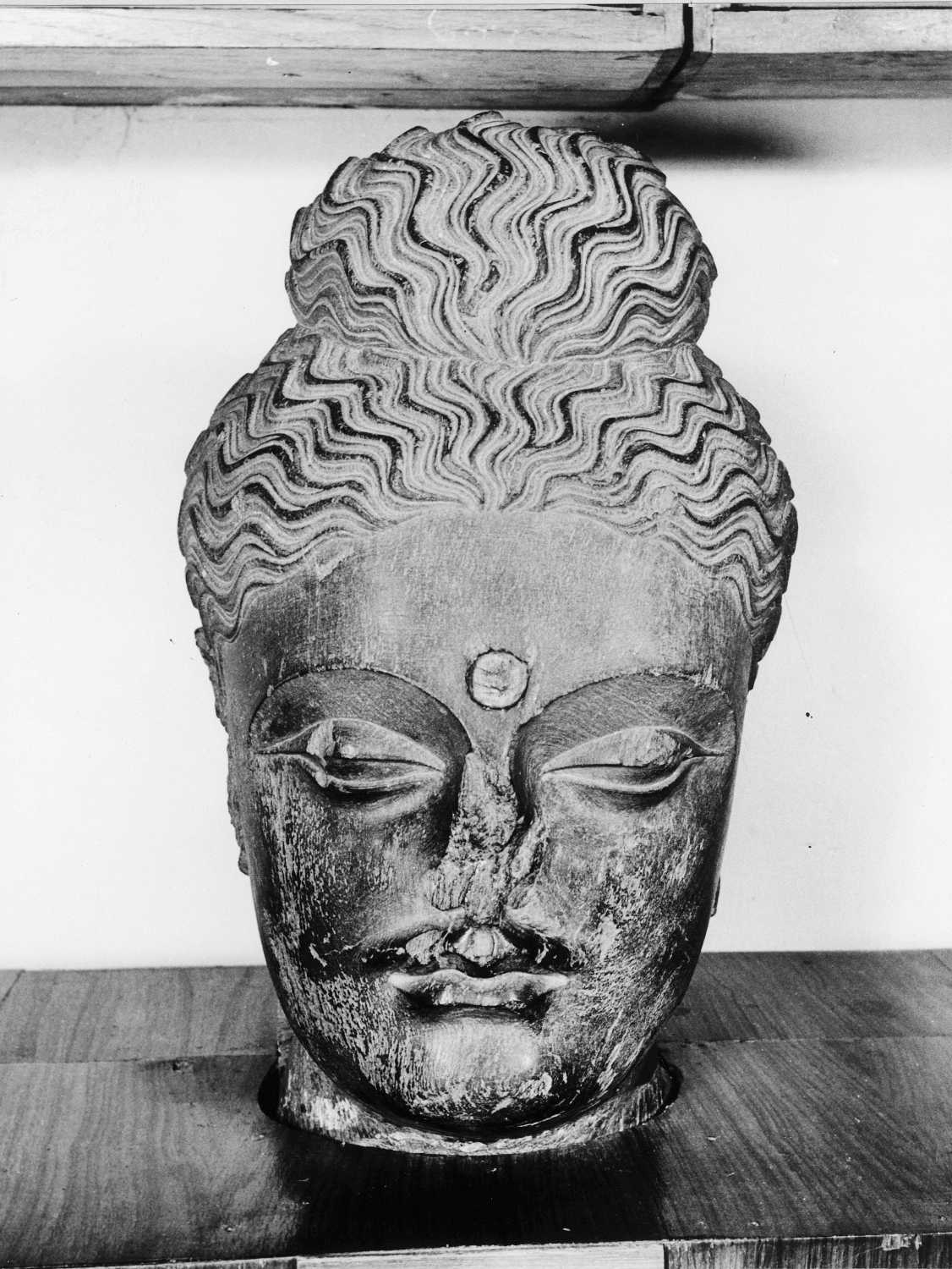 Patna Museum, Patna, Bihar