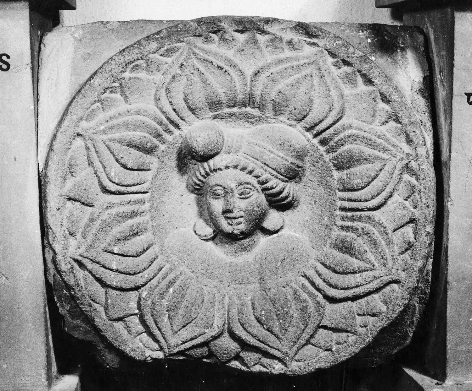 Patna Museum, Patna, Bihar
