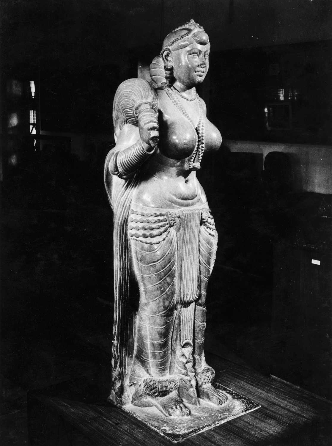 Patna Museum, Patna, Bihar